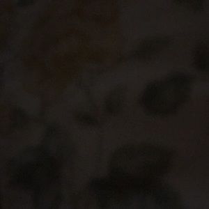 Meet your Posher, Jeremy